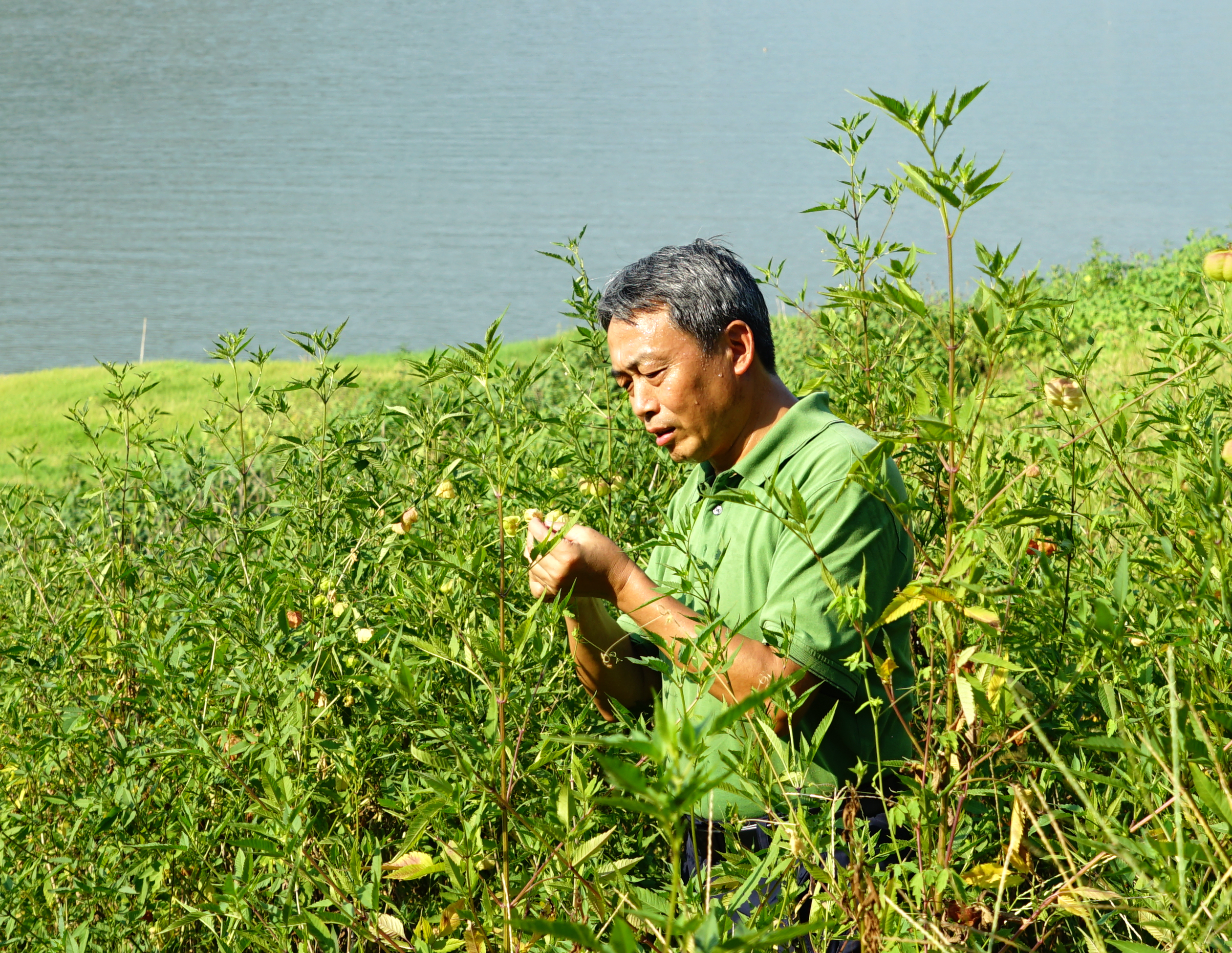 袁兴中在奉节县草堂湖消落带调查.JPG